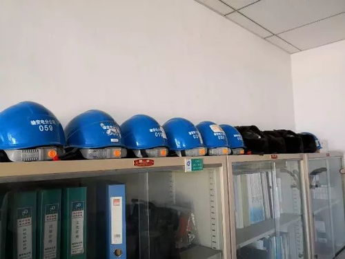第十期暖心行動 團組織綠化服務(wù)點亮美好社區(qū)